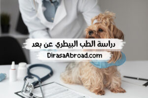 دراسة الطب البيطري عن بعد