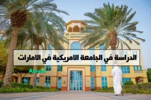 الجامعة الامريكية في الامارات