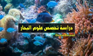 تخصص علوم البحار