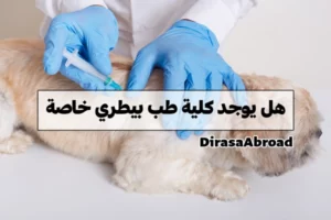 هل يوجد كلية طب بيطري خاصة