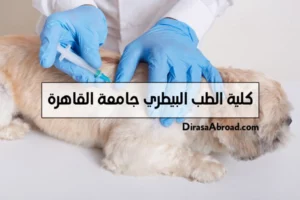 كلية الطب البيطري جامعة القاهرة