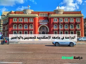 جامعة الإسكندرية