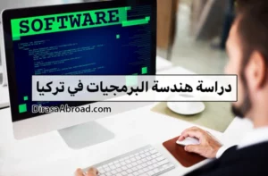 دراسة هندسة البرمجيات في تركيا