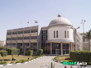 جامعة الفيوم