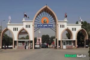 جامعة جنوب الوادي