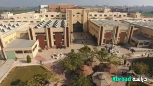 جامعة طنطا