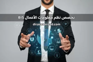 نظم معلومات الأعمال