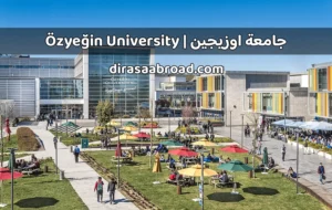 جامعة اوزيجين