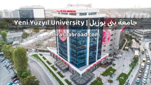 جامعة يني يوزيل