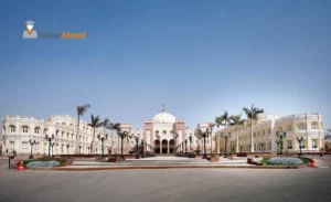 مصاريف الجامعة البريطانية في مصر